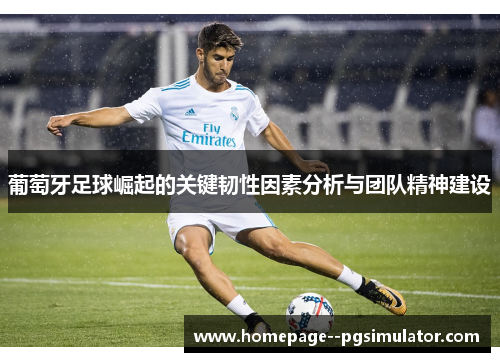 葡萄牙足球崛起的关键韧性因素分析与团队精神建设
