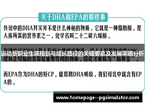 运动员职业生涯规划与成长路径的关键要素及发展策略分析