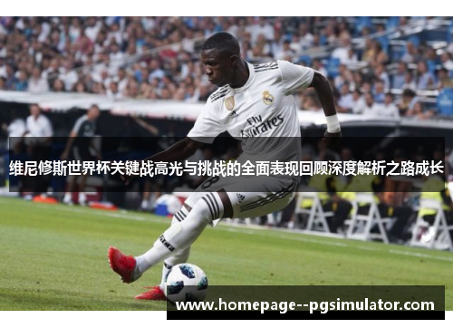 维尼修斯世界杯关键战高光与挑战的全面表现回顾深度解析之路成长