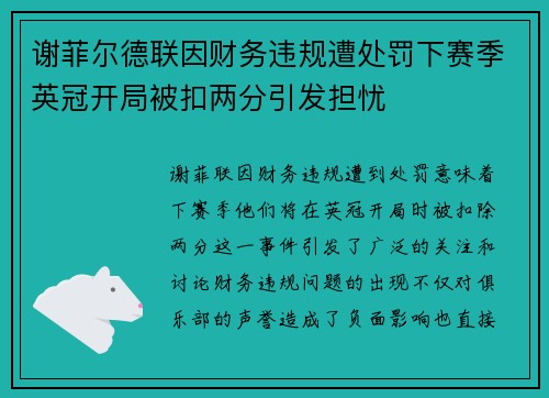 谢菲尔德联因财务违规遭处罚下赛季英冠开局被扣两分引发担忧