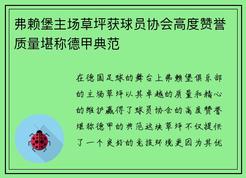 弗赖堡主场草坪获球员协会高度赞誉质量堪称德甲典范